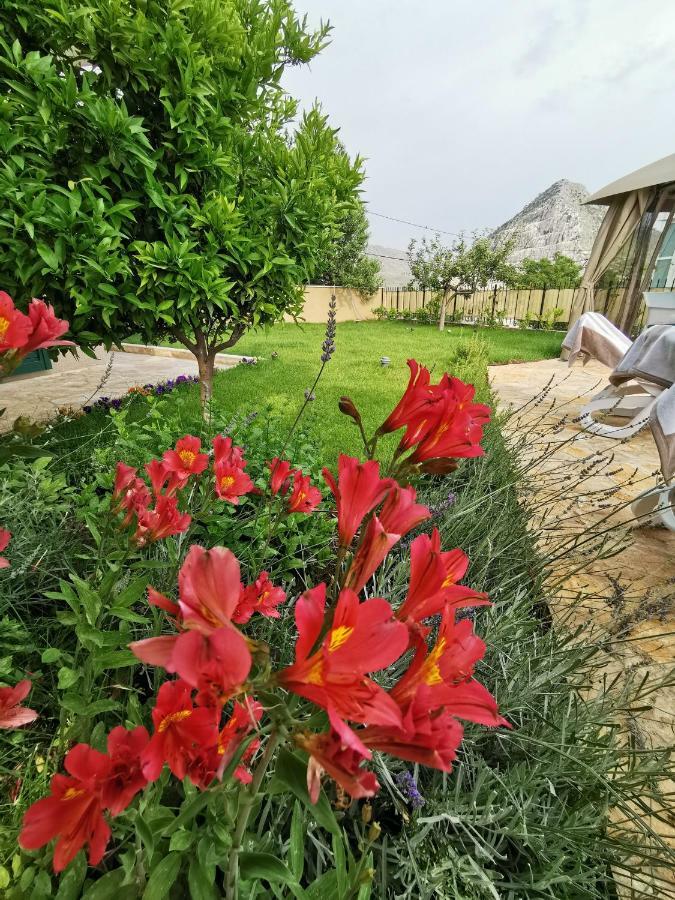 Villa Mater - Luxuriously Equipped Villa With A 15M Long Swimming Pool Zrnovnica Luaran gambar